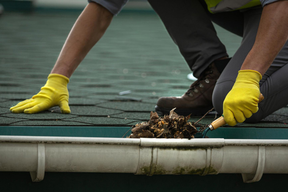 Gutter Cleaning in Alberton